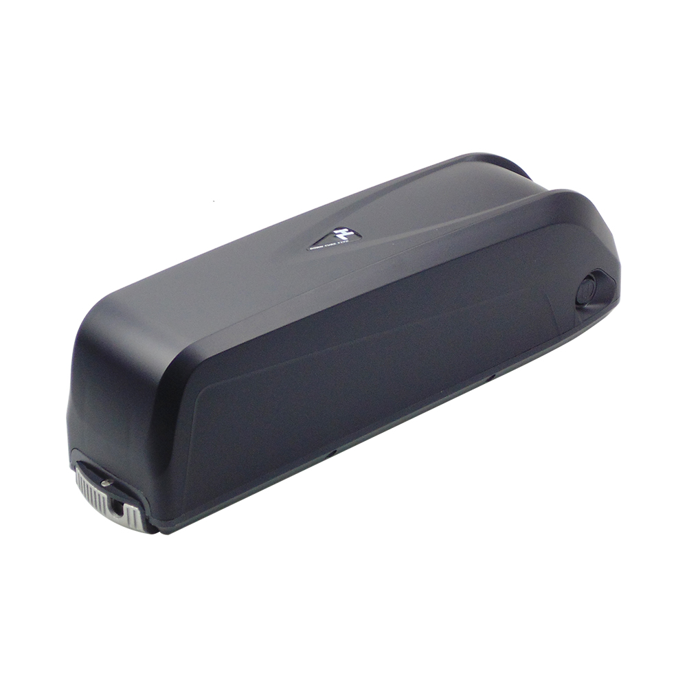 Hailong Lithium Ebike Battery  - Ebike Battery 48V 20Ah Hailong review and price