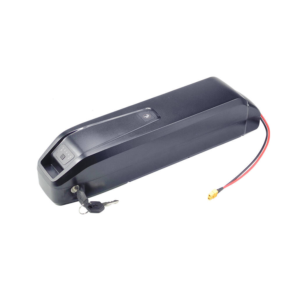 New S20 Pro 48V 13Ah 20Ah Hail - Ebike Battery 48V 20Ah Hailong review and price